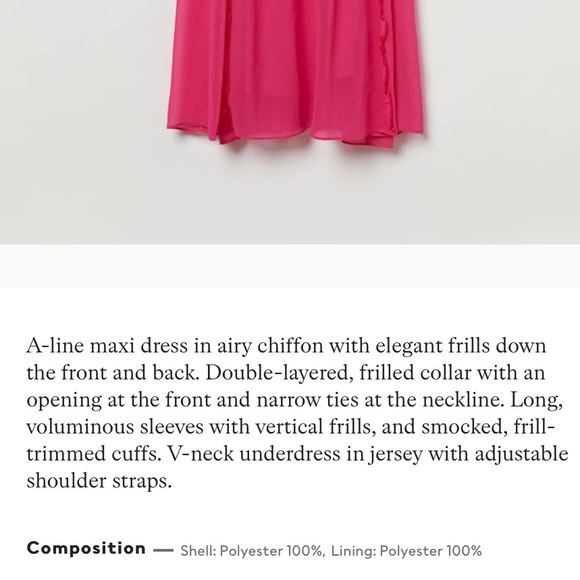 ***NWOT***H&M Chiffon Maxi Dress - Picture 6 of 12